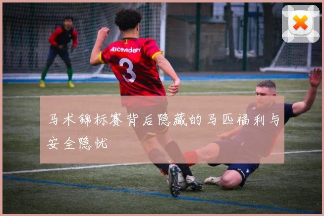 马术锦标赛背后隐藏的马匹福利与安全隐忧