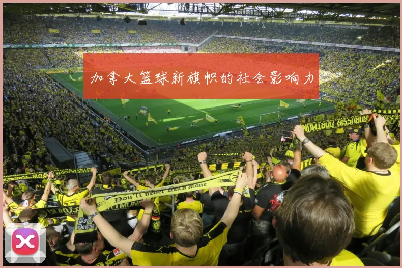 加拿大篮球新旗帜的社会影响力