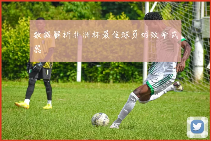 数据解析非洲杯最佳球员的致命武器