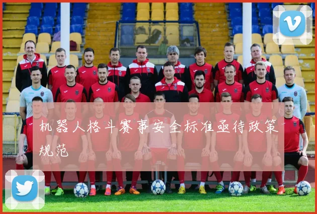 机器人格斗赛事安全标准亟待政策规范