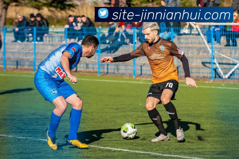 金年会平台生态图